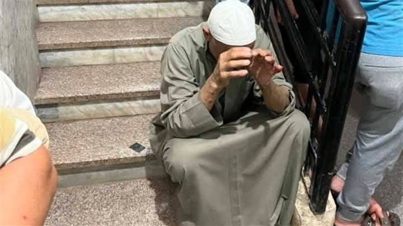 المنوفية تستنفر أجهزتها بعد عقر كلب ضال لعدد من الأهالي