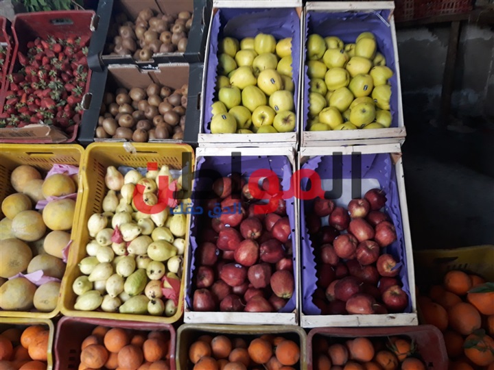 فيديو| أسعار الخضروات والفاكهة بأسواق كفر الشيخ اليوم السبت