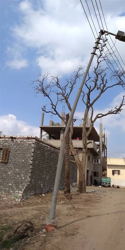 صور| «أعمدة الكهرباء» تهدد بكارثة في مركز القرين بالشرقية