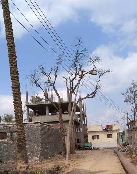 صور| «أعمدة الكهرباء» تهدد بكارثة في مركز القرين بالشرقية