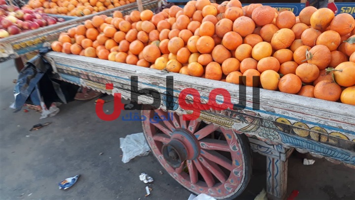 أسعار الخضراوات والفاكهة اليوم الاثنين بأسواق بورسعيد