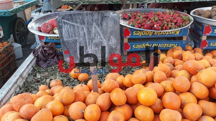 أسعار الخضراوات والفاكهة اليوم الاثنين بأسواق بورسعيد