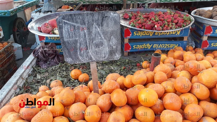 صور| أسعار الخضراوات والفاكهة اليوم الثلاثاء بأسواق بورسعيد