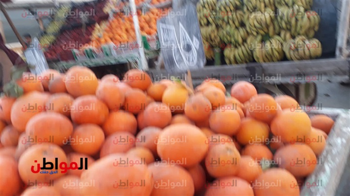 صور| أسعار الخضراوات والفاكهة اليوم الثلاثاء بأسواق بورسعيد