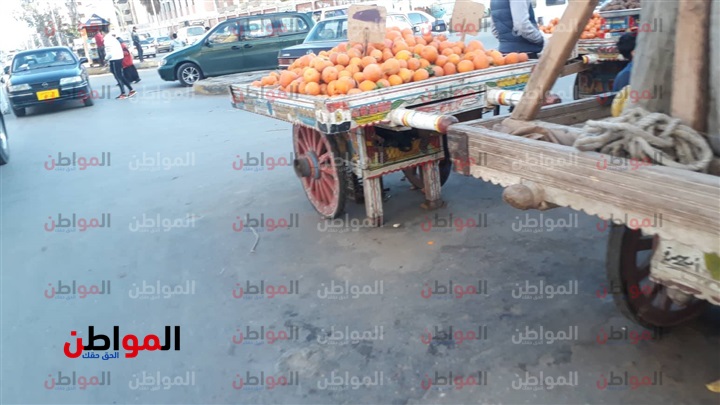 صور| أسعار الخضراوات والفاكهة اليوم الأربعاء بأسواق بورسعيد