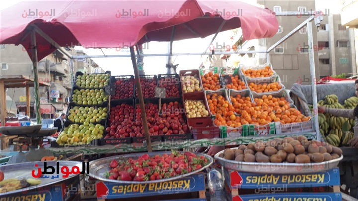 صور| أسعار الخضراوات والفاكهة اليوم الخميس بأسواق بورسعيد
