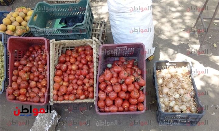 صور| أسعار الخضراوات والفاكهة اليوم الجمعة بأسواق سوهاج
