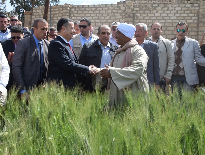 محافظ بني سويف ووزير الزراعة يتفقدان الحقول الإرشادية لمحصول القمح