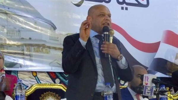 محمد الحناوي نائب