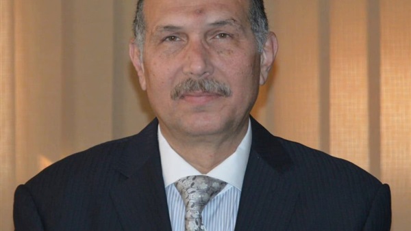 نائب رئيس حزب «المصريين»