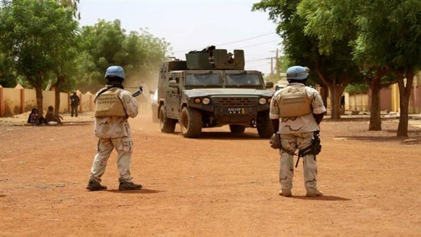 قوات جيش مالي