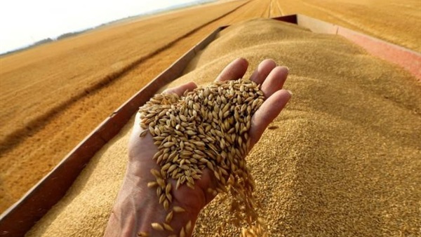أزمة الحبوب 