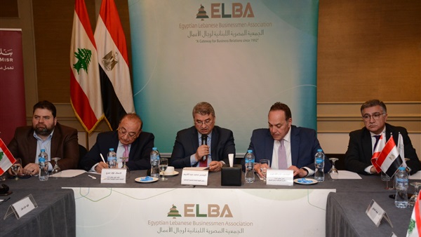 الجمعية المصرية اللبنانية