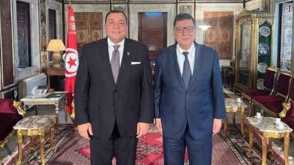 السفير المصري بتونس