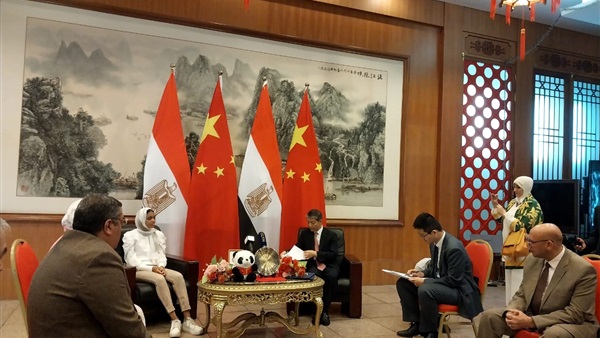 سفير الصين لدى مصر