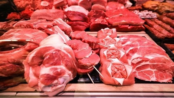 أسعار اللحوم بالقوصية