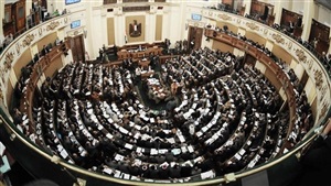 برلماني : عقوبة المستوردين