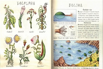 كتاب Codex Seraphinianus