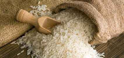 شائعات الأرز