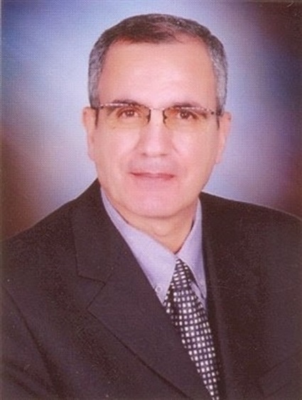الدكتور محمد المرسي