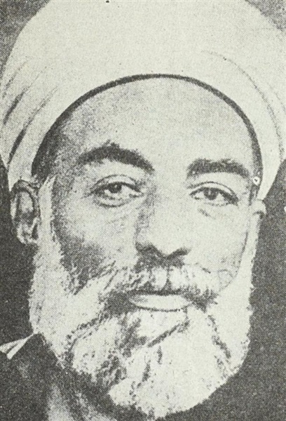 محمد الأحمدي الظواهري