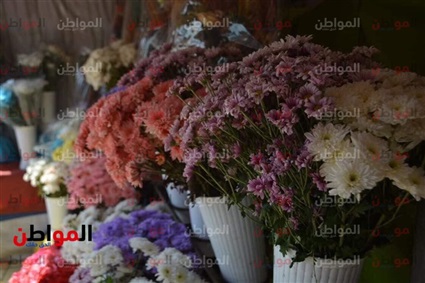 أسعار الورد في مصر