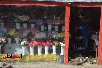 أسعار الورد في مصر