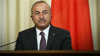 وزير الخارجية التركى